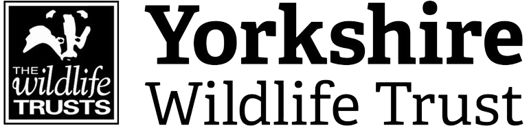 Yorkshire Wildlife Trust logo