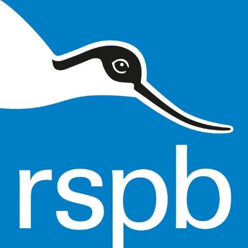 RSPB at the Yorkshire Dales Outdoors Festival